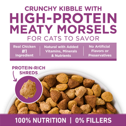 Purina ONE +Plus Whole Body Support Chicken Dry Cat Food