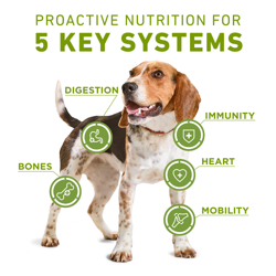 Purina ONE +Plus Soporte Total para el Cuerpo Comida Seca para Perros con Pollo