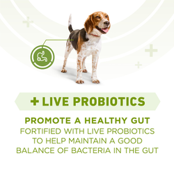 Purina ONE +Plus Whole Body Support Chicken Dry Dog Food