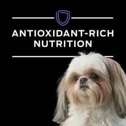 El alimento para perros Pro Plan Veterinary Diets HA es una nutrición rica en antioxidantes.