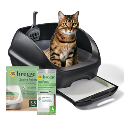 A cat sitting in a black Tidy Cats Breeze Original Litter Box System with the Breeze Zeolite Pellets and the Breeze Ion Pads.