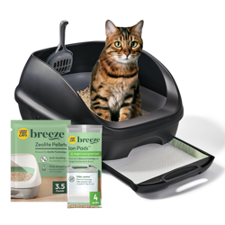 Un gato sentado en un sistema de caja de arena Tidy Cats Breeze Original negro con los pellets de zeolita Breeze y las almohadillas de iones Breeze.