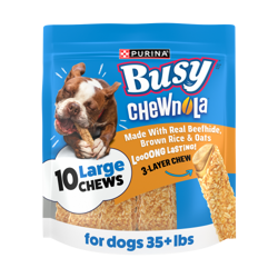 Front of 10 count package of Purina Busy Chewnola Large Dog Chews for dogs 35 plus pounds with a dog enjoying the treat.