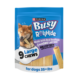 Front of a 9 count package of Purina Busy Rollhide Large Dog Chews with a Shiba Inu enjoying the rolled chew.