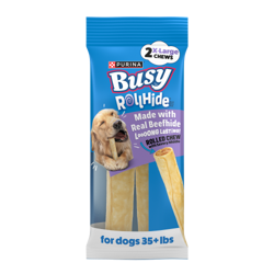 Front of a 2 count package of Purina Busy Rollhide Extra Large Dog Chews with a Golden Retriever enjoying the rolled chew.