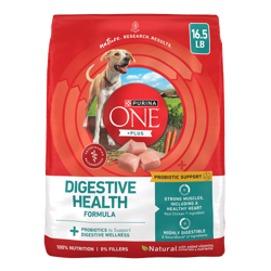 Bag of Purina ONE +Plus Digestive Health Probiotic Support with Real Chicken Dry Dog Food.