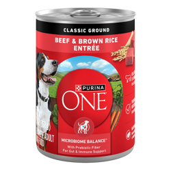 Can of Purina ONE Beef & Brown Rice Entrée Classic Ground Wet Dog Food.