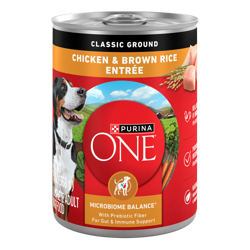 Can of Purina ONE Chicken & Brown Rice Entrée Classic Ground Wet Dog Food.