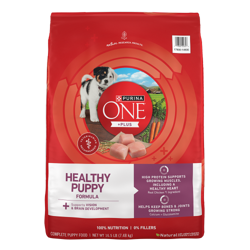 Bag of Purina ONE +Plus Healthy Puppy Formula Dry Dog Food.
