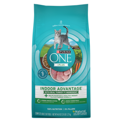 Bag of Purina ONE +Plus Indoor Advantage Turkey Dry Cat Food.