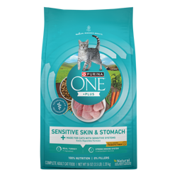 Bag of Purina ONE +Plus Sensitive Skin & Stomach Dry Cat Food.