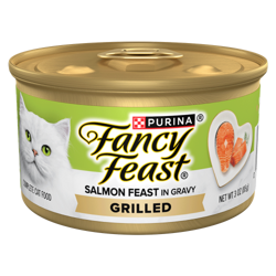 Fancy Feast Grilled Salmon Feast in Gravy 3 oz wet cat food can with white cat and fresh fish.