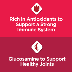 Esenciales para gatos sénior 7+ de Cat Chow: sistema inmunitario y articulaciones sanas