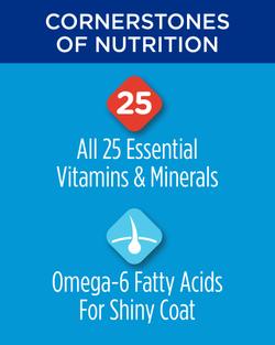 los pilares de la nutrición, las 25 vitaminas y minerales esenciales, ácidos grasos omega 6 para un pelaje brillante