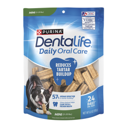 Cuidado dental diario para perros de miniatura
