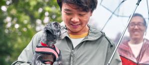 A dog being held by its owner under an umbrella
