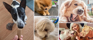 collage de imágenes para redes sociales