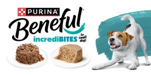 beneful incredibites wet food and playful dog