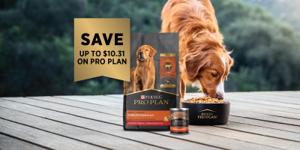 Ahorra hasta $10.31 en Pro Plan. Perro comiendo alimento para perros Pro Plan.