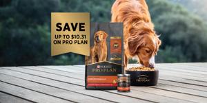 Save up to $10.31 on Pro Plan. Dog eating Pro Plan dog food.