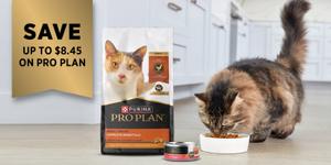 A cat eating Pro Plan next to packages of dry and wet Pro Plan cat food formulas with SAVE up to $8.45 callout.