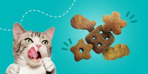 A cat excitedly licking its lips looking at crunchy cat treats.