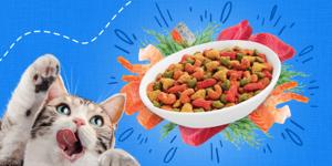 A cat excitedly licking its lips looking at a bowl of dry cat food kibble.