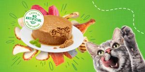 A cat excitedly licking its lips looking at a plate of paté wet cat food.