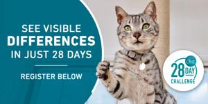 Desafío de 28 Días de Purina ONE – Registro para gatos