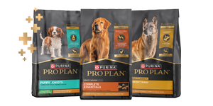 Lineup of select Pro Plan probiotic dog food formulas.