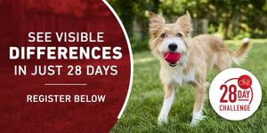 Purina ONE 28-Day Challenge. See visible differences in just 28 day. Register below.