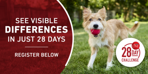 Purina ONE 28-Day Challenge. See visible differences in just 28 day. Register below.