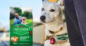 A bag of Purina Dog Chow next to a white service dog with heterochromia.