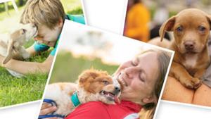 Pet Resource Library