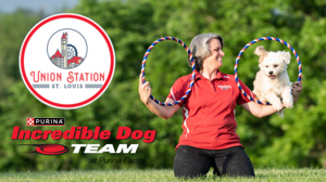 Encabezado web de Union Station para Incred. Dog