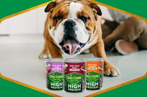 A bulldog looks into the camera with a lineup of Purina Dog Chow High Protein Wet Dog Food varieties sit infront of it. The image has a green and gold border.