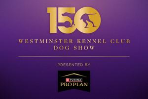 150th Westminster Kennel Club Dog Show Presented By Purina Pro Plan.