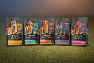 Lineup of Purina Pro Plan dry dog food packages.