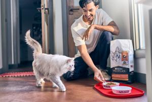 Person interacting with a cat near feeding bowls, representing personalized pet nutrition recommendations.