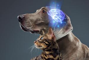 Dog and cat portrait with scientific visualization illustrating pet nutrition research and innovation.