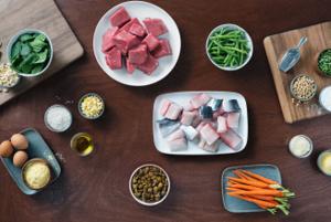 Assortment of pet food ingredients arranged around prepared meal portions.