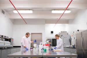 Laboratory team conducting pet food quality and safety testing.