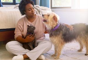 Woman sitting on floor next to bed, petting a dog and a cat