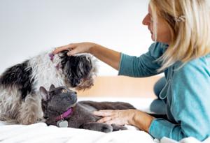 A person petting their dog and cat.