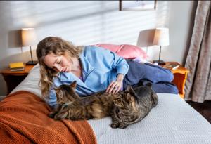 Woman laying on bed with two cats