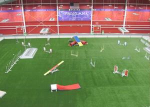 Purina Event Center floor set up for agility trials with Artificial turf