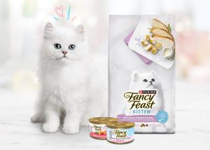 Un gatito blanco y esponjoso sentado al lado de comida seca y húmeda Fancy Feast.