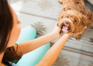 woman petting small dog