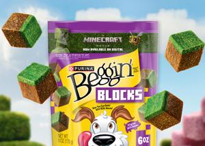 Beggin’ Blocks