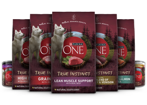 A group of packages of dog food